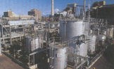 Refinery Site Regulatory Compliance Audits
